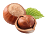 Asset 15